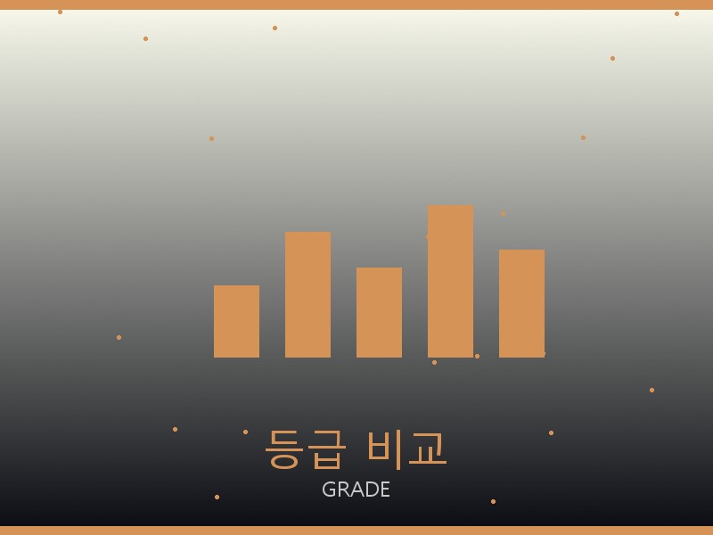륩레르 레플리카 사이트 등급 기준 비교